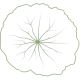 logo Cappucine